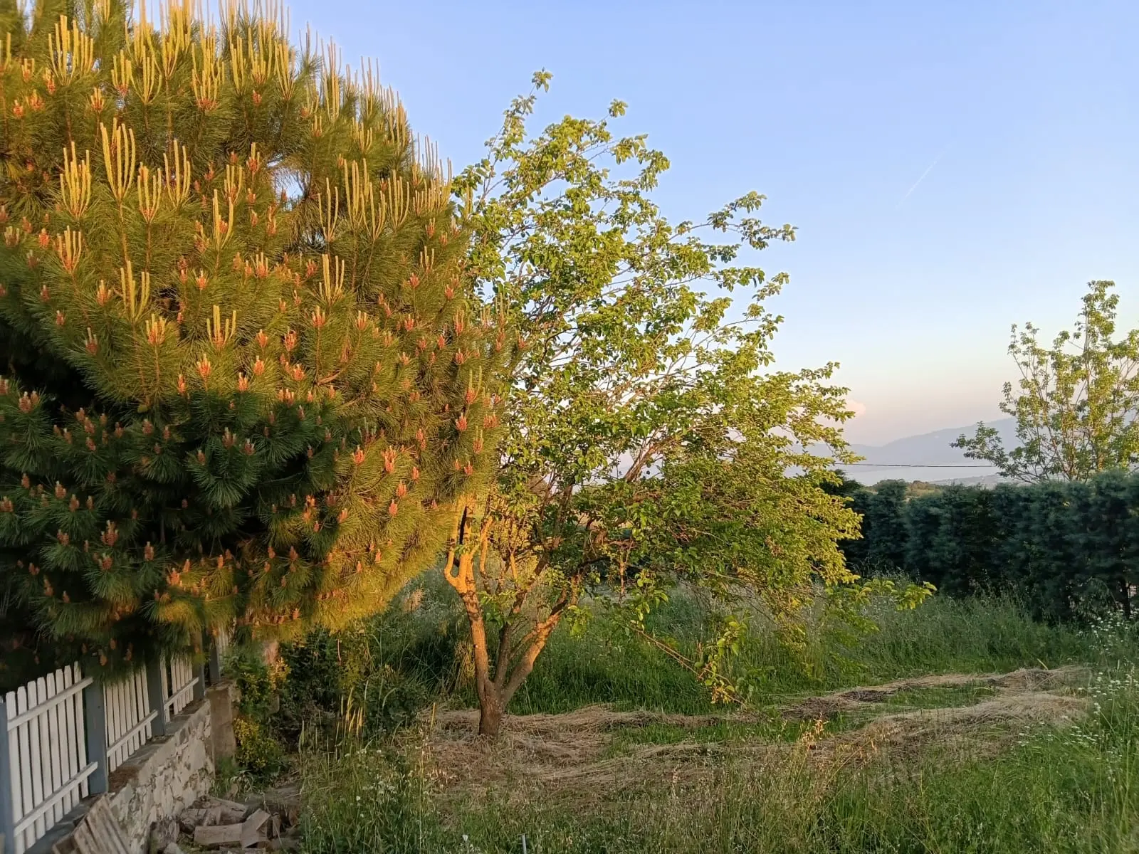 Home in Yalova
